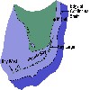 image of Figure 15